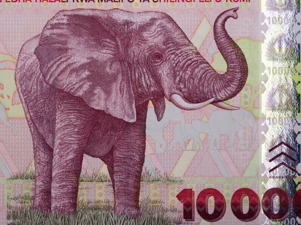 istock Elephant a portrait from Tanzanian money 1220071978