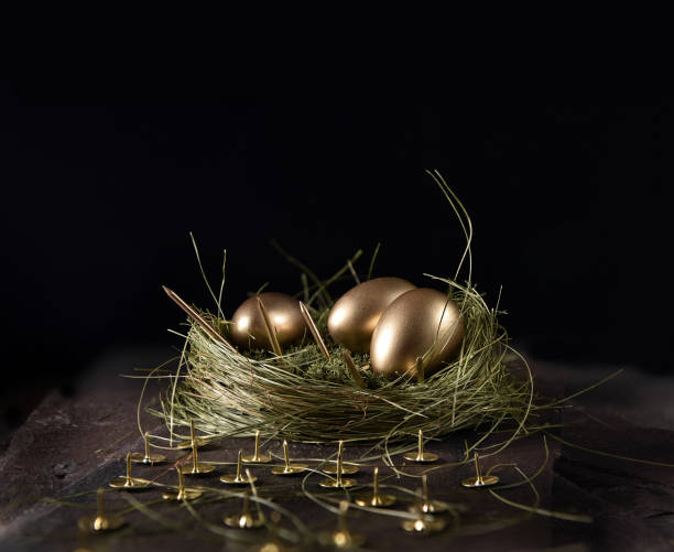 istock Financial Investment Protection Concept NT 2 1220075231