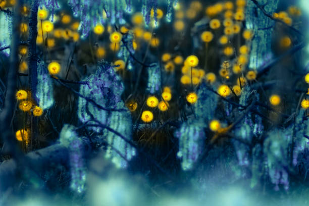 istock Moonlit meadow with glowing dandelions and magic blue grass, enchanted forest detail 1220075579
