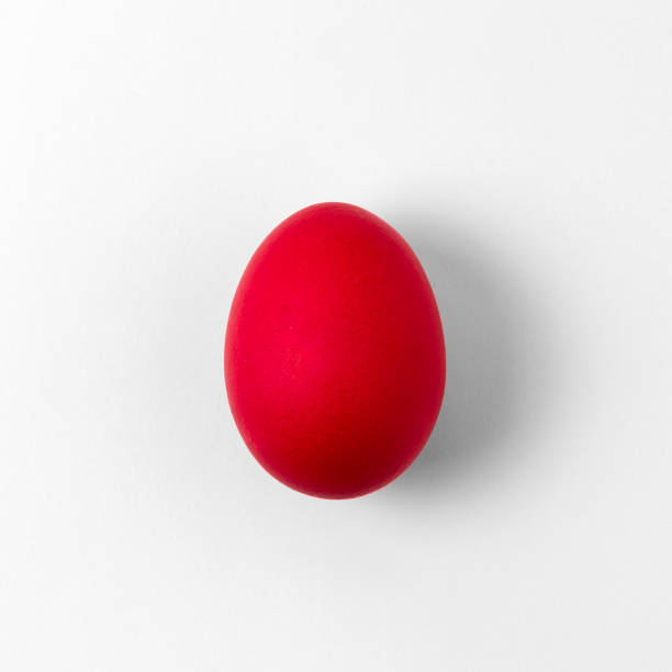 one red chicken egg on a light background - easter eggs red imagens e fotografias de stock