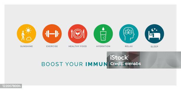 Ilustración de Cómo Estimular Tu Sistema Inmunitario De Forma Natural y más Vectores Libres de Derechos de Estilo de vida saludable
