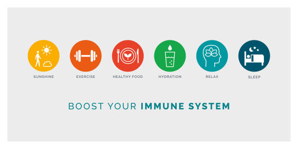 How to boost your immune system naturally How to boost your immune system naturally: expose to sunlight, exercise, eat healthy, drink water, relax and sleep, icons set food and drink stock illustrations