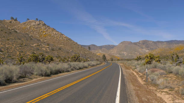 istock Scenic route through the desert at Sequoia in California 1220078353