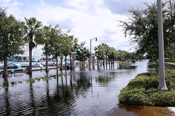 홍수 waters - hurricane florida 뉴스 사진 이미지