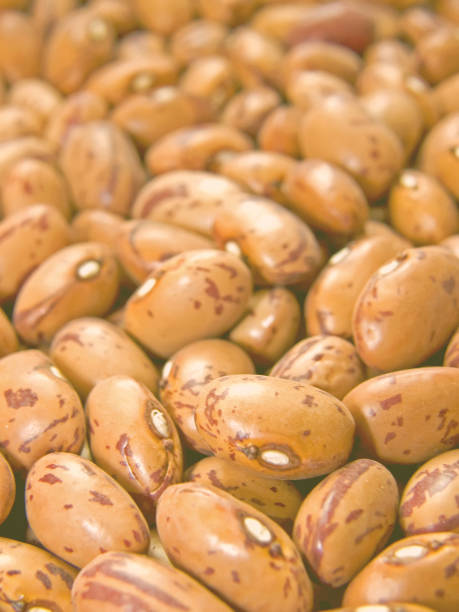 istock Close-up of dry pinto beans (Picture No 03) 1220084399