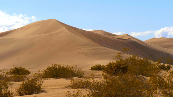 Big Sand Dunes in the desert of Nevada