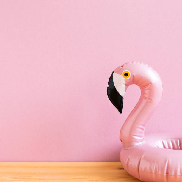 concetto di vacanza estiva. tubo da piscina a forma di uccello fenicottero rosa con sfondo rosa. spazio di copia - swimming tube inflatable circle foto e immagini stock