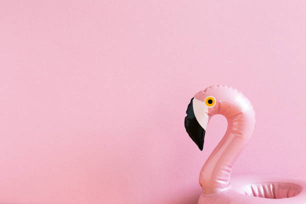 concetto di vacanza estiva. tubo da piscina a forma di uccello fenicottero rosa con sfondo rosa. spazio di copia - swimming tube inflatable circle foto e immagini stock