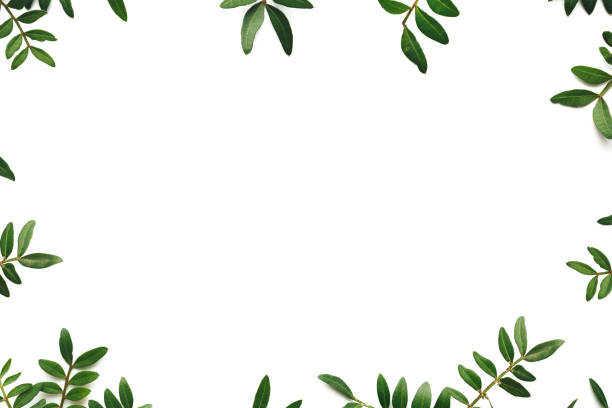 istock Spring Frame Made Of Green Leaves On White Background 1220086977