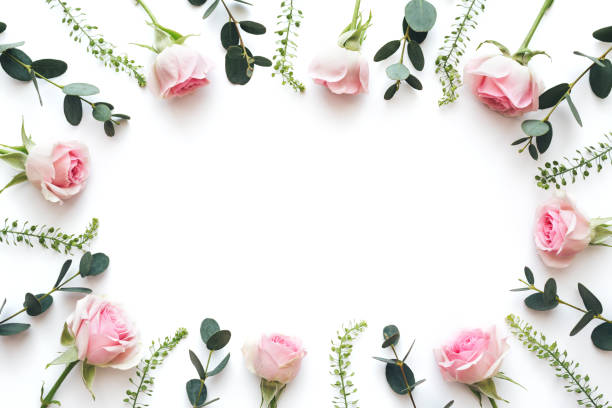 istock Floral Background With Pink Roses And Green Twigs 1220087066