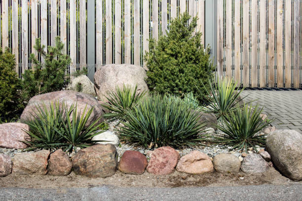 istock Gardening design with spiky plants bushes and stones 1220087749