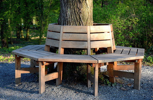 polygonal, wooden, bench, park, garden, wood, chair, grass, tree, seat, nature, green, relax, table, summer, outdoors, outdoor, empty, furniture, forest, chairs, old, rest, sit, spring, trees, circle, linden, trunk, shape, backrest, gravel, ground