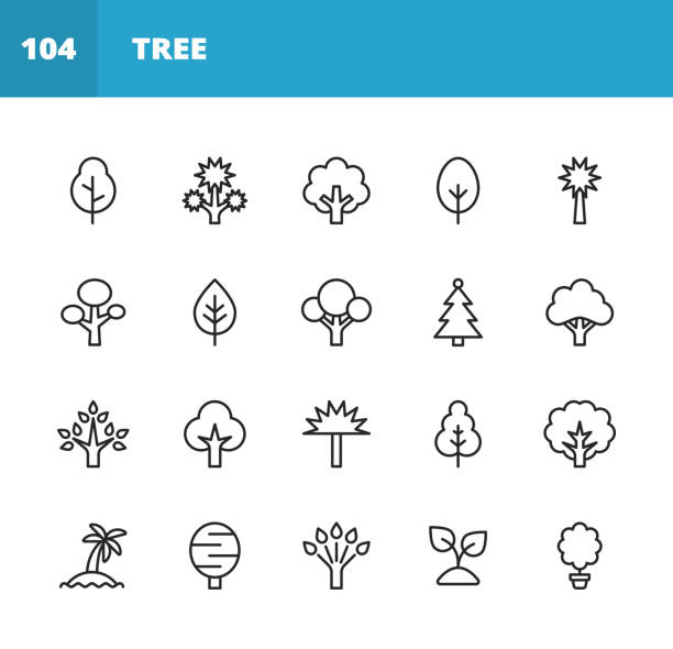 illustrations, cliparts, dessins animés et icônes de icônes de ligne d’arbre. accident vasculaire cérébral modifiable. pixel parfait. pour mobile et web. contient des icônes telles que l’arbre, la forêt, la nature, l’extérieur, l’environnement, l’écologie, l’automne, le printemps, la fleur - pine tree forest summer evergreen tree