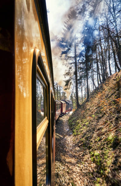 istock Steam locomotive ride with sun rays. Dynamics through motion blur. 1220095991