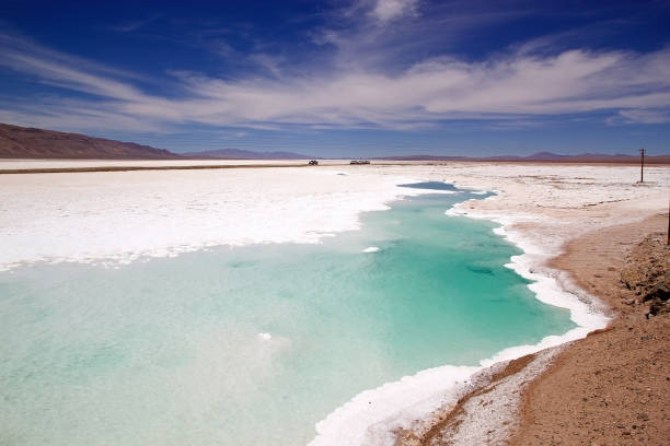 istock Salar de Pocitos in Puna de Atacama, Argentina 1220096069