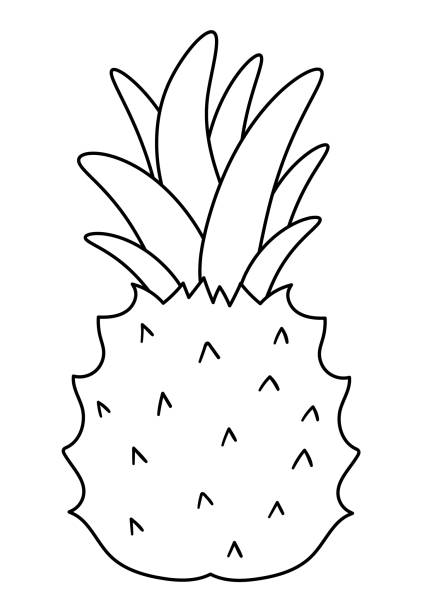 illustrations, cliparts, dessins animés et icônes de plan d’ananas vectoriel. illustration exotique tropicale drôle de noir et blanc de fruit. page de coloriage amusante pour les enfants. jungle art clip d’été - 2546