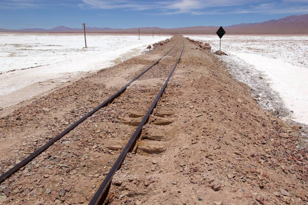 istock Salar de Pocitos in Puna de Atacama, Argentina 1220097442