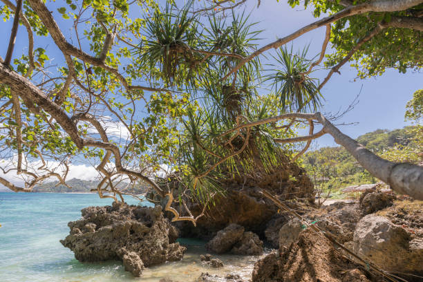 istock ilig iligan beach, Boracay island,Philippines. 1220097648