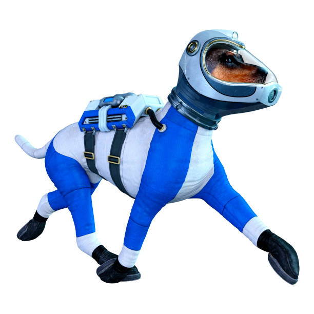 istock 3D rillustration astronaut dog on white 1220099034