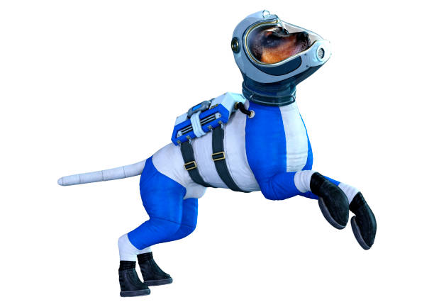 istock 3D rillustration astronaut dog on white 1220099136