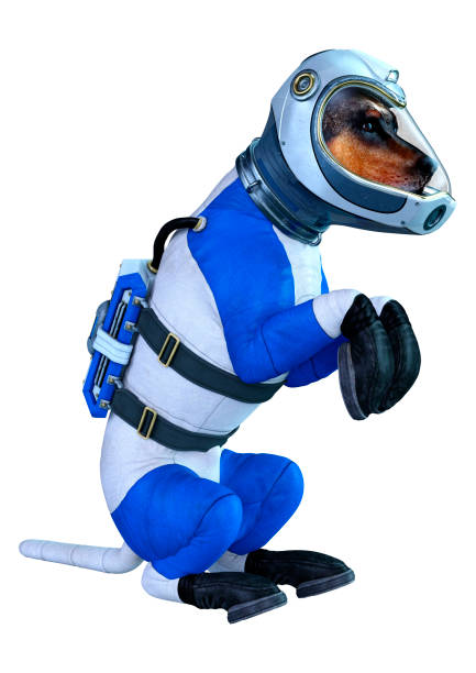 istock 3D rillustration astronaut dog on white 1220099168