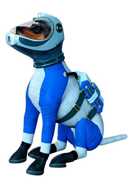 istock 3D rillustration astronaut dog on white 1220099205