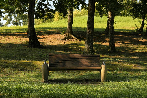 man relaxing sitting on a bench in a park