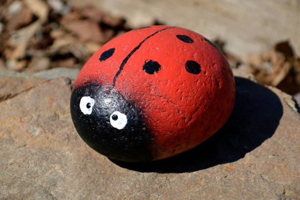 Sea ​​stone painted like a ladybug. Decoration for a garden.
