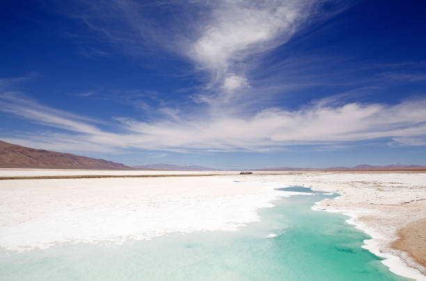 istock Salar de Pocitos in Puna de Atacama, Argentina 1220102505