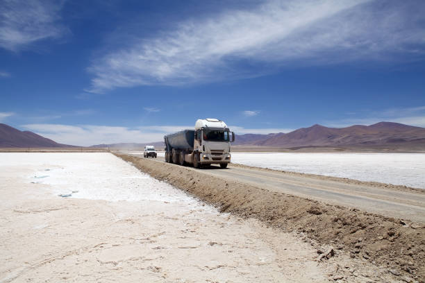 istock Salar de Pocitos in Puna de Atacama, Argentina 1220102626