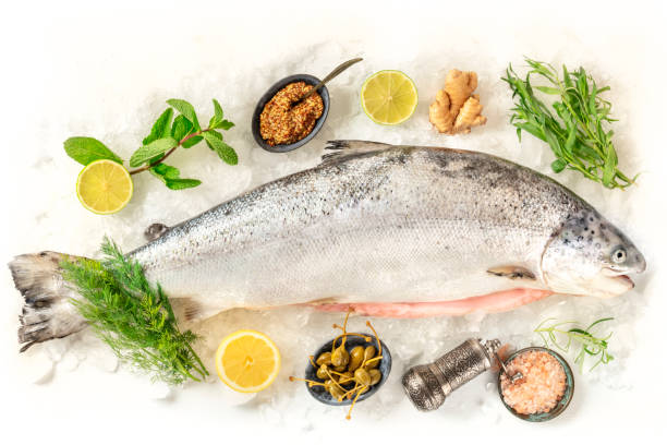 salmón fresco, rodado desde arriba sobre un fondo blanco con varios condimentos - tarragon herb spice freshness fotografías e imágenes de stock