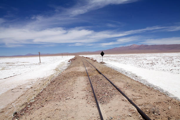 istock Salar de Pocitos in Puna de Atacama, Argentina 1220103991