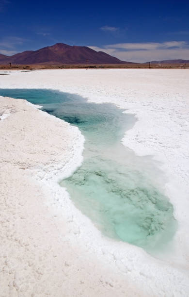 istock Salar de Pocitos in Puna de Atacama, Argentina 1220104173