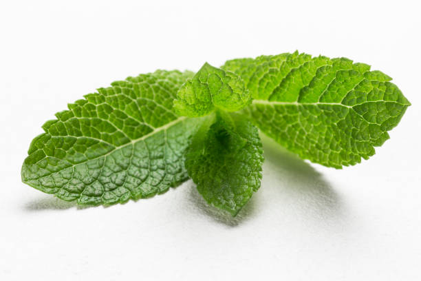 istock Mint leaves on white background. Close up 1220104424