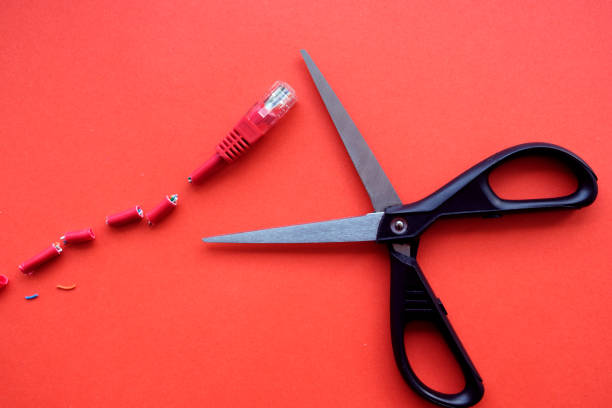 istock Internet cable cut into pieces by metal office scissors on a red background 1220104731