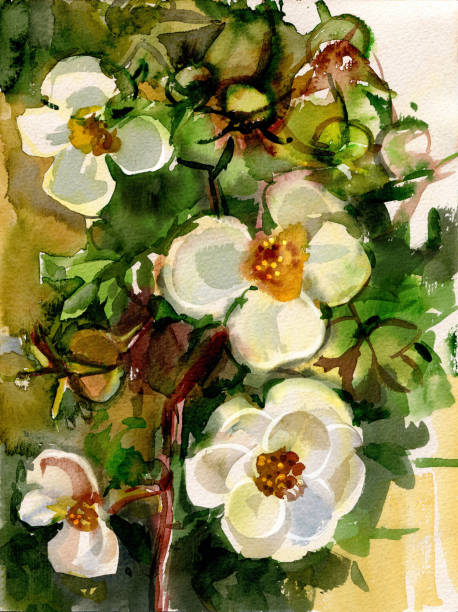 istock Blooming white rosehip bush with leaves. Watercolor drawing 1220104824