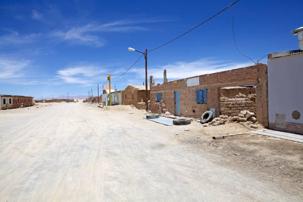 istock Pocitos town in Puna de Atacama, Argentina 1220105538