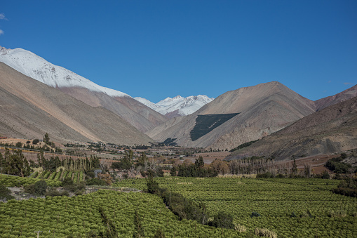 Elqui Valley and the Andes Mountain Range in the background