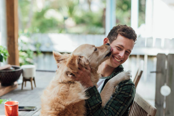 We're Best Friends! A side view shot of a young man playing with his cute dog, the dog is licking his face and the man is smiling. pet owner photos stock pictures, royalty-free photos & images