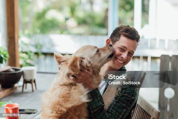Were Best Friends Stock Photo - Download Image Now - Dog, Pets, Stroking