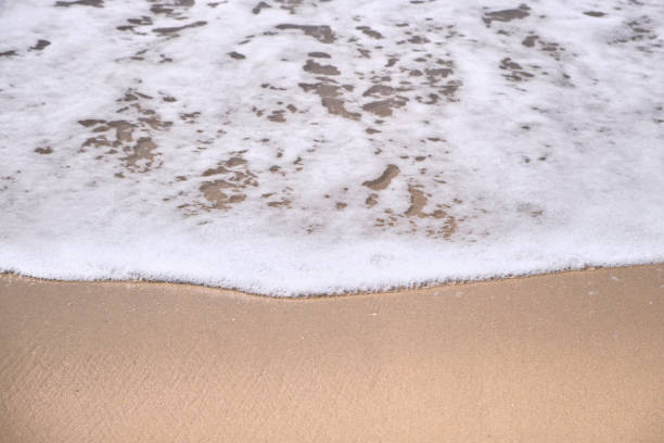 istock Calm Waves Washing Over a Beach on a Sunny Day 1220107836