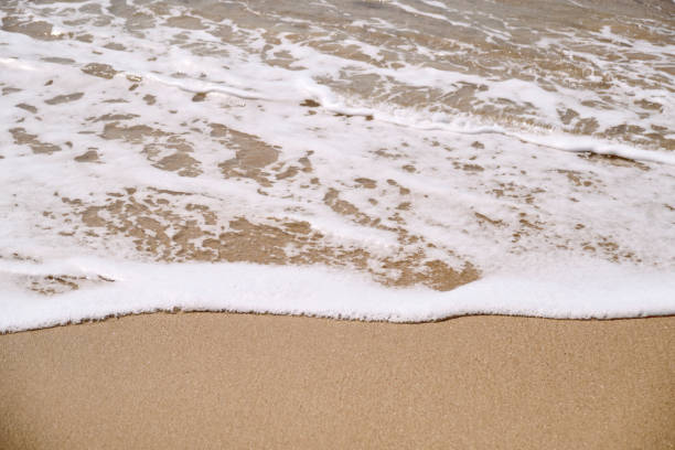 istock Calm Waves Washing Over a Beach on a Sunny Day 1220107897