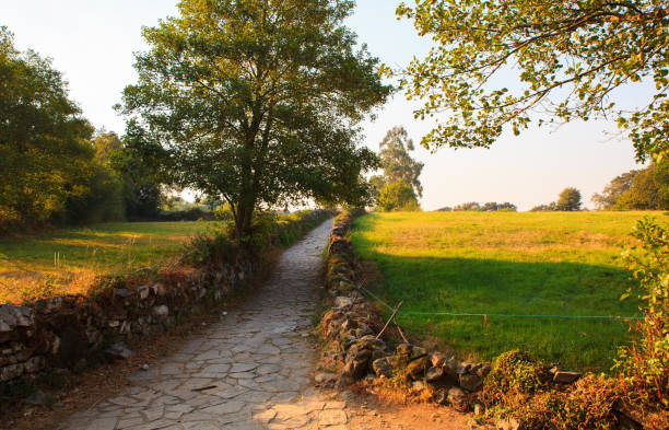 Path along the way of St. James in Spain