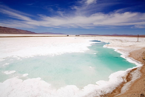 istock Salar de Pocitos in Puna de Atacama, Argentina 1220109257