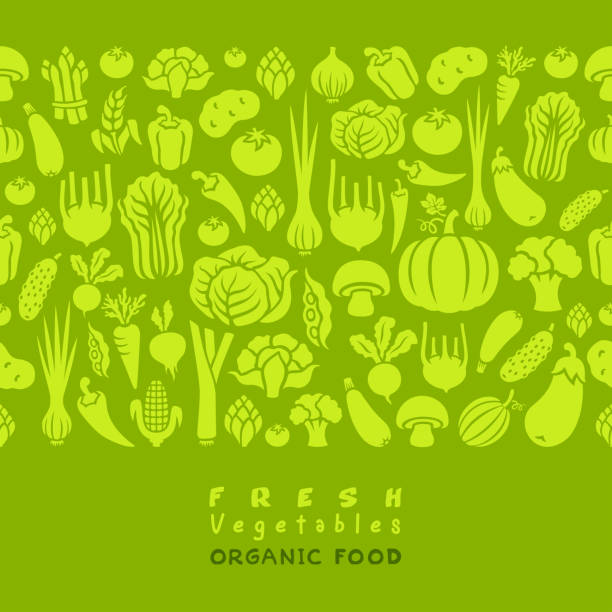 Seamless pattern of vegetables. Seamless pattern of fresh vegetables. cauliflower nutrition stock illustrations
