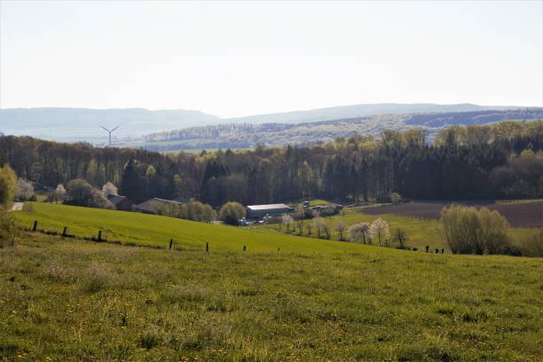 istock rural landscape with trees in the background 1220111677