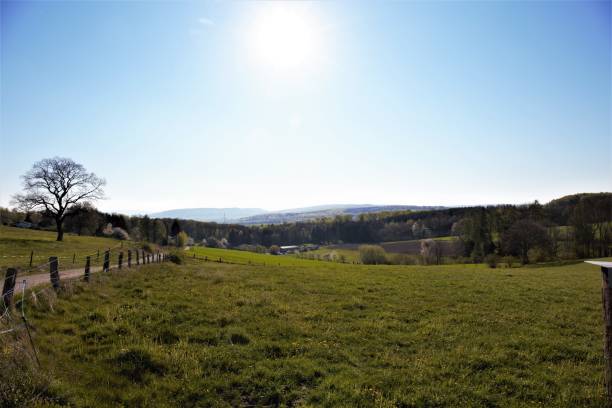 istock rural landscape with trees in the background 1220111687