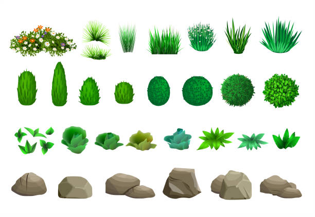 Set of vector trees bushes and stones Set of elements for landscape design in isometric schemes. Vector graphics. Bushes, trees, rocks yard grounds illustrations stock illustrations