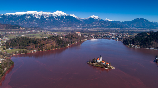 Aerial View on Bled Lake Turning Red Due To Blooming Cyanobacterium on Water Surface.