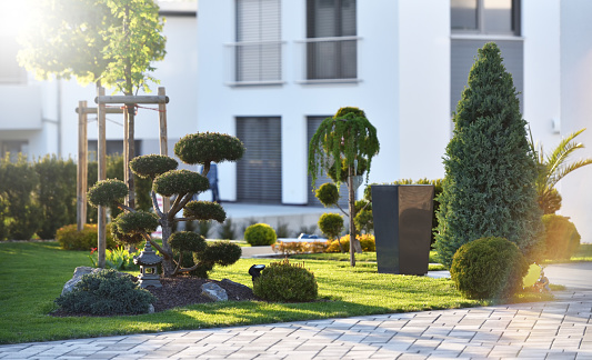 Beautiful modern flowerbed with coniferous bushes and a bonsai tree on the background of a modern house